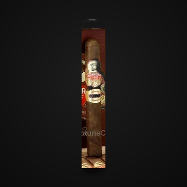 Aganorsa · LongestAsh