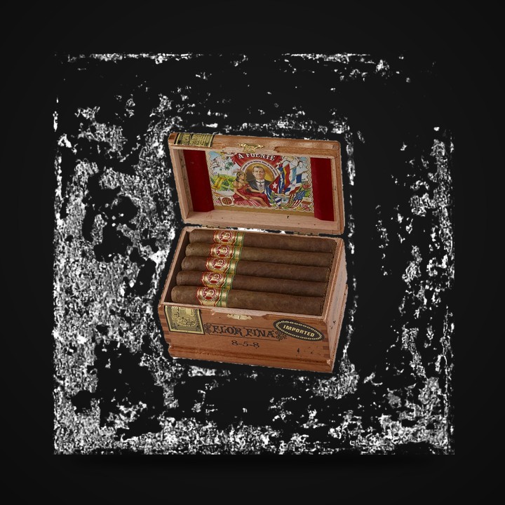 Arturo Fuente 858 · LongestAsh