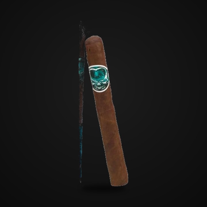 Asylum Schizo · LongestAsh