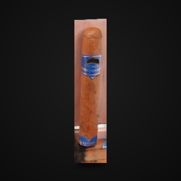 CAO FASA Sombra · LongestAsh