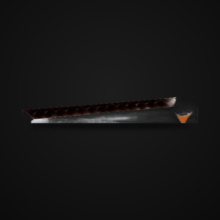 CAO Vision · LongestAsh