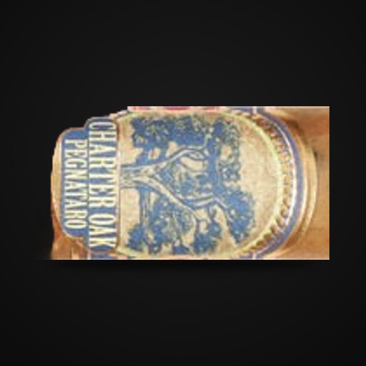 Foundation Charter Oak Pegnataro · LongestAsh
