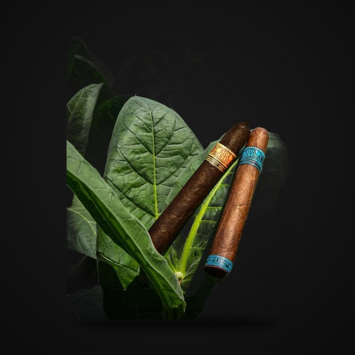 Nica Rustica · LongestAsh