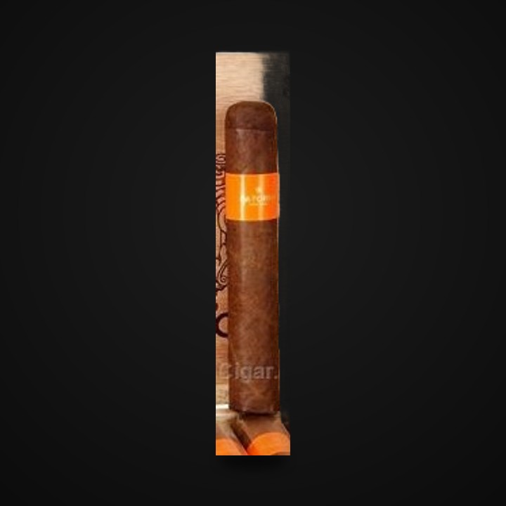 Patoro Serie P · LongestAsh