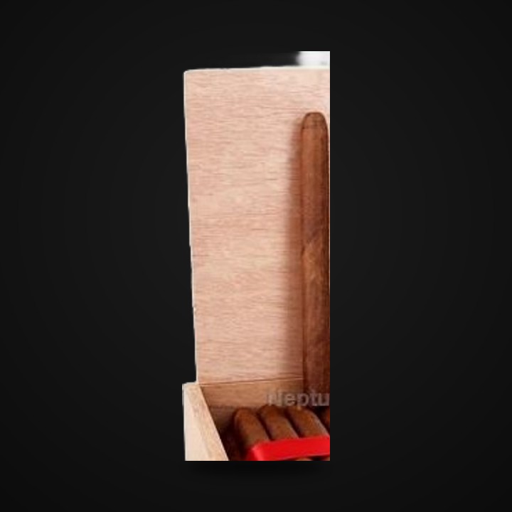 Warped Lirio Rojo · LongestAsh